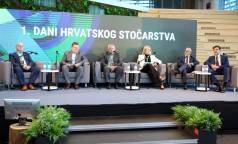 Mini Stocari19